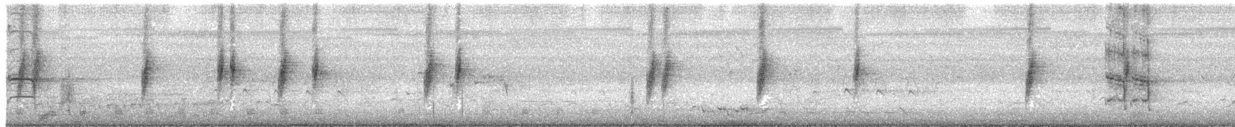 Tawny Grassbird - ML647447908