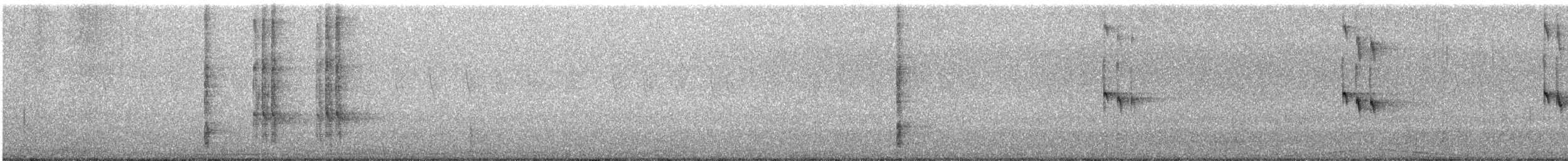 Great-tailed Grackle - ML647448080