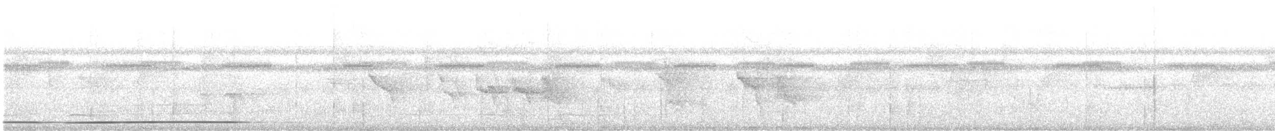 Slaty-breasted Tinamou - ML647448245