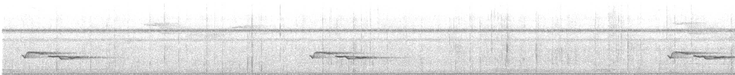 White-breasted Wood-Wren - ML647448266