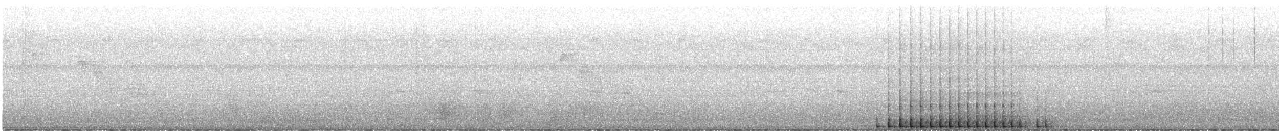 Pileated Woodpecker - ML647448389