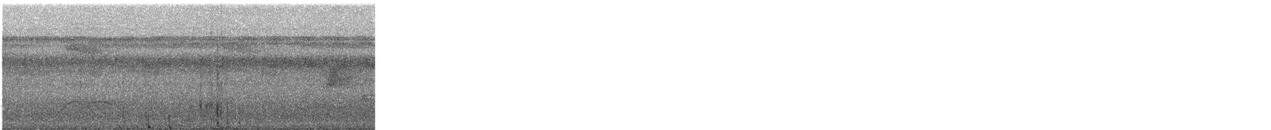 Streak-chested Antpitta - ML647449181