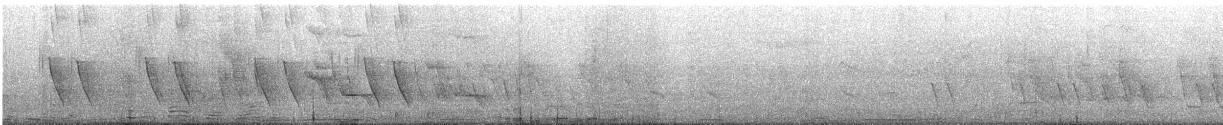 Scrub Blackbird - ML647449474