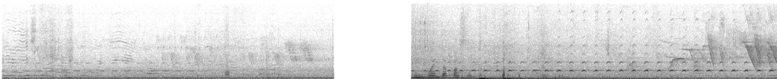 Peruvian Pygmy-Owl - ML647449484