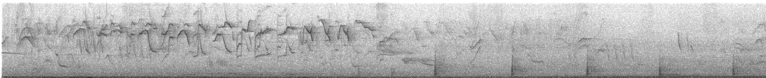 Blue-gray Tanager - ML647449495