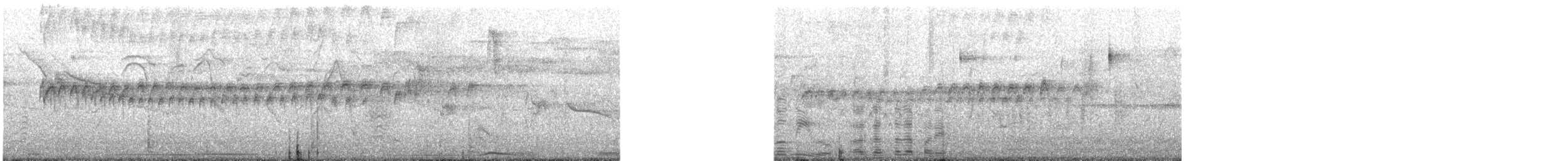 Tropical Kingbird - ML647449497