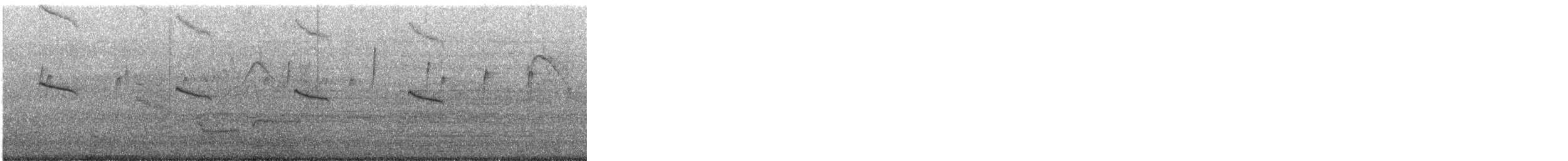 Amazilia Hummingbird - ML647449513