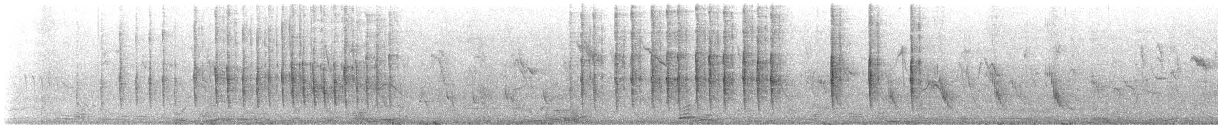 マミジロスズメハタオリ（pectoralis） - ML647449546