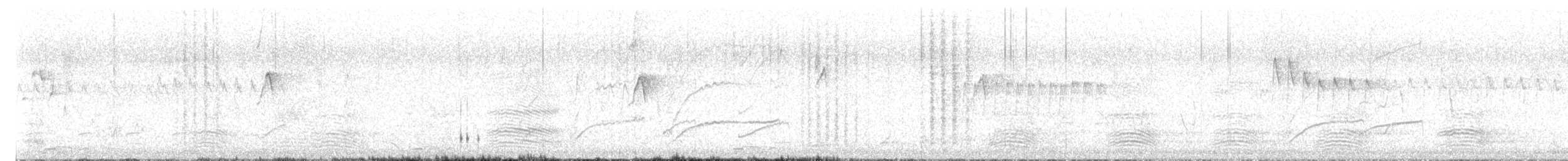 Hooded Robin - ML647449645