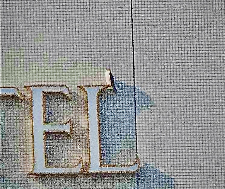 vandrefalk - ML647451085