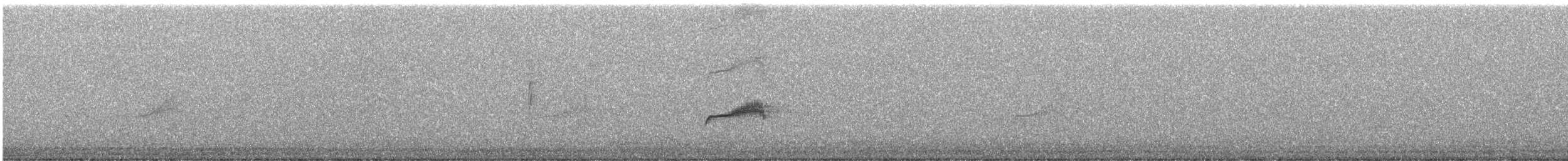 Blasskehl-Schnäppertyrann - ML647451950