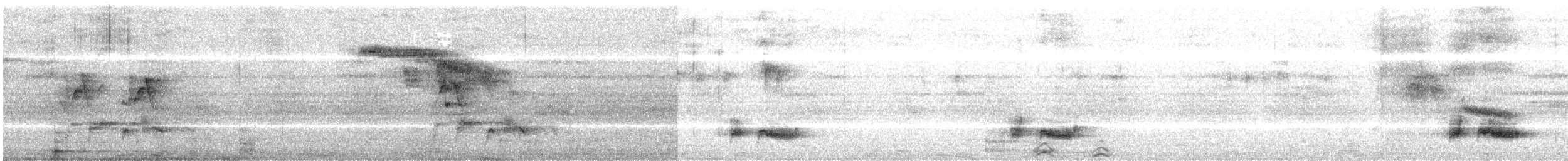 ホオジロヒヨドリ - ML647453301