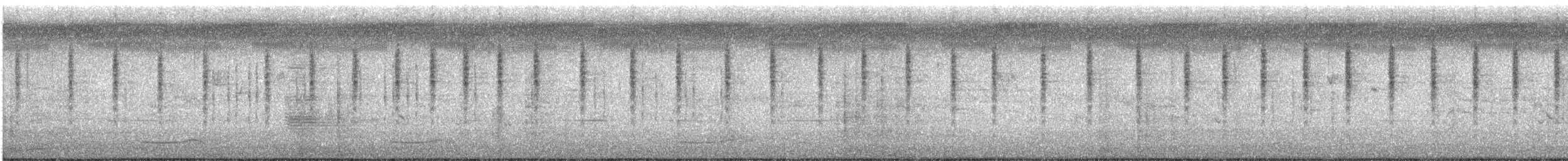 cvrčilka žíhaná - ML647454100