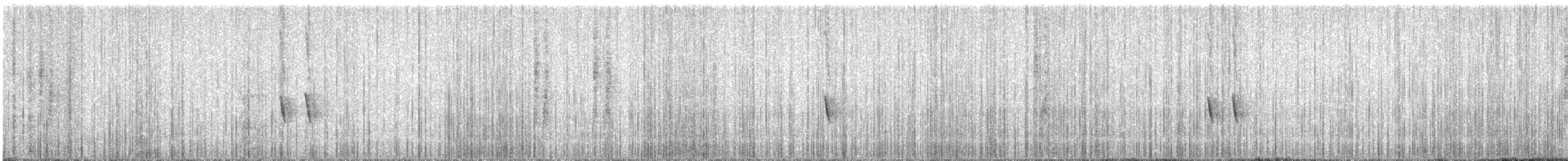 Mielero de Nueva Holanda - ML647454107