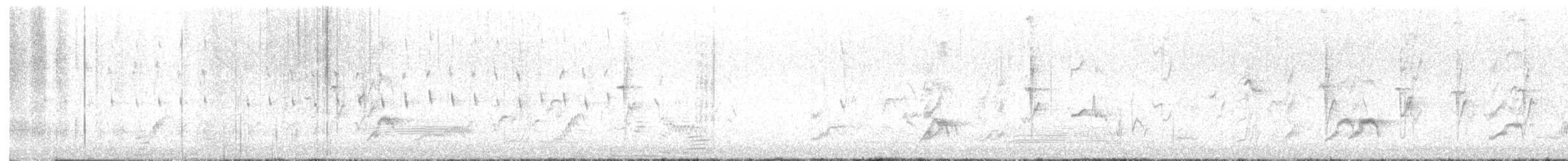 Cacatúa Ninfa - ML647454113