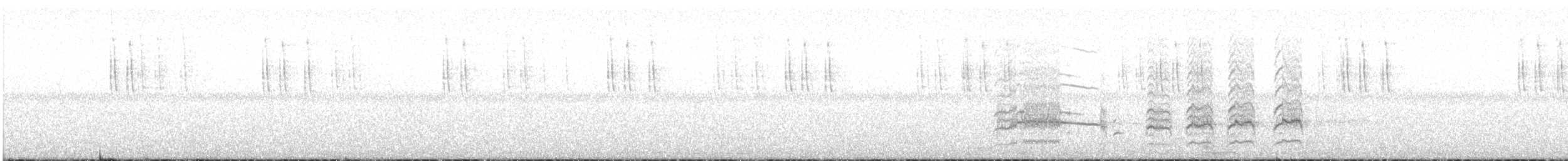 White-tailed Hawk - ML647454579