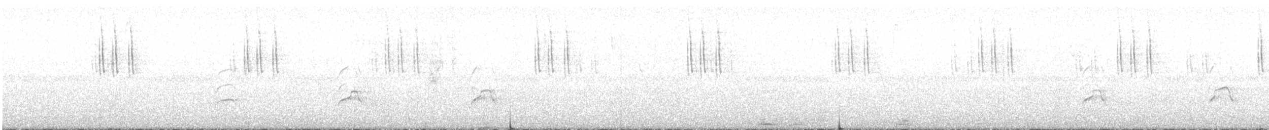 White-tailed Hawk - ML647454594