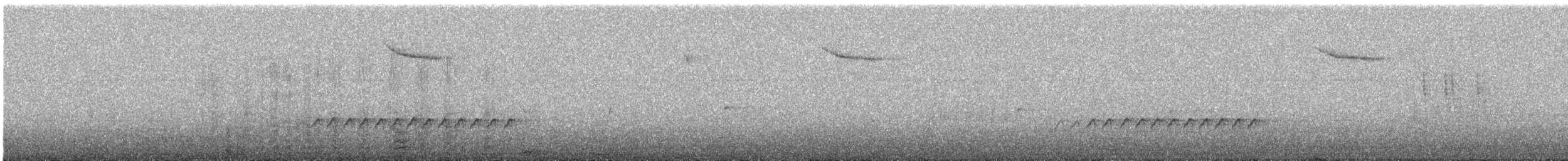 Trepador Azul - ML647454616