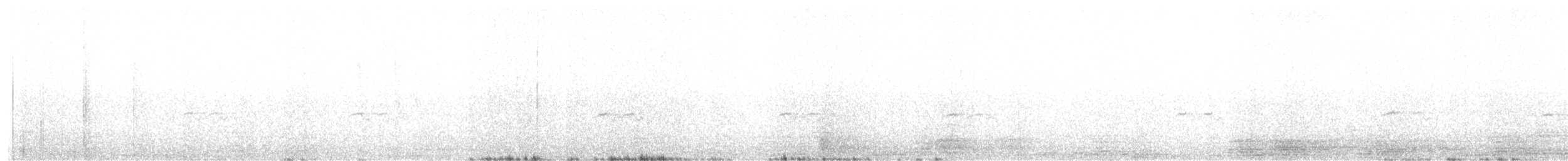 Gavilán Chikra - ML647455035