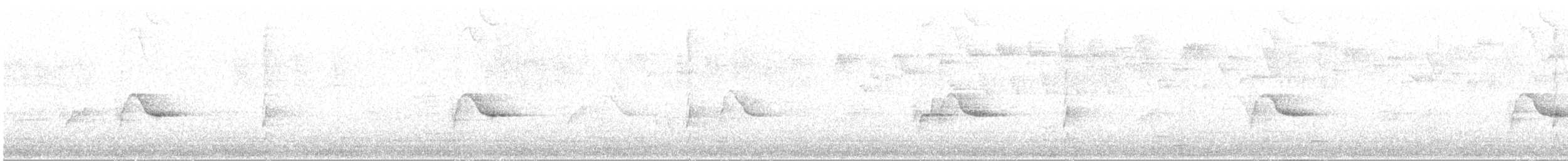 African Goshawk (Southern) - ML647455177