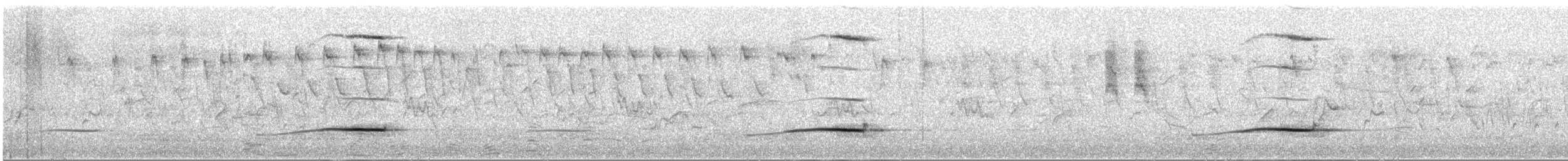 Southern Boubou - ML647455187