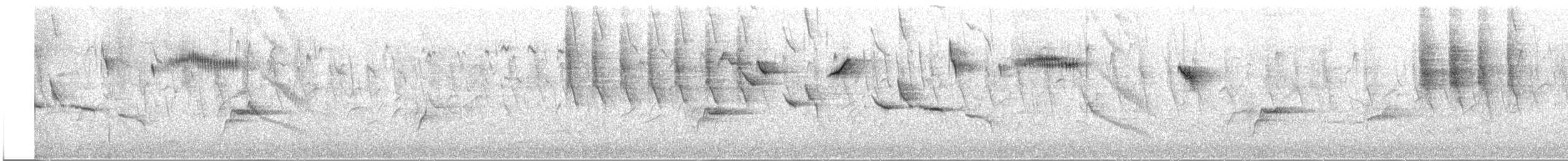 Forest Canary - ML647455209