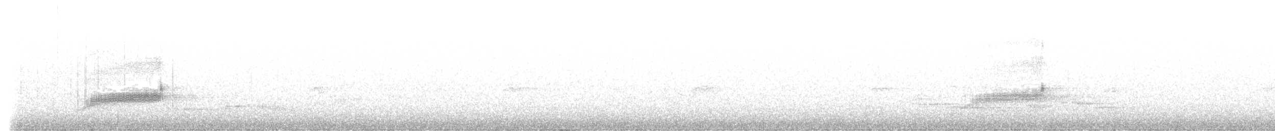 Long-tailed Koel - ML647455707