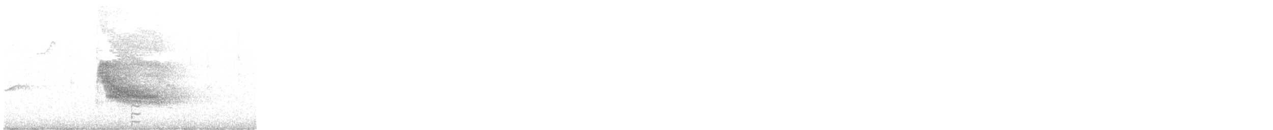 Long-tailed Koel - ML647455716