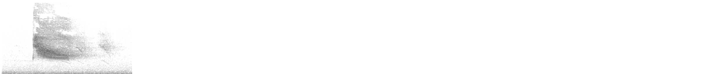 Long-tailed Koel - ML647455717