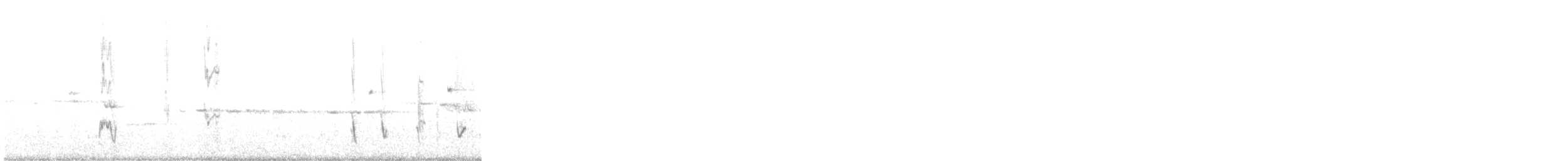 South Island Robin - ML647455775