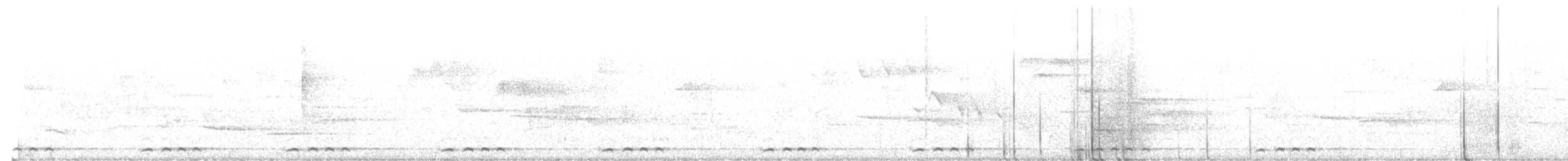 New Zealand Pigeon - ML647455787