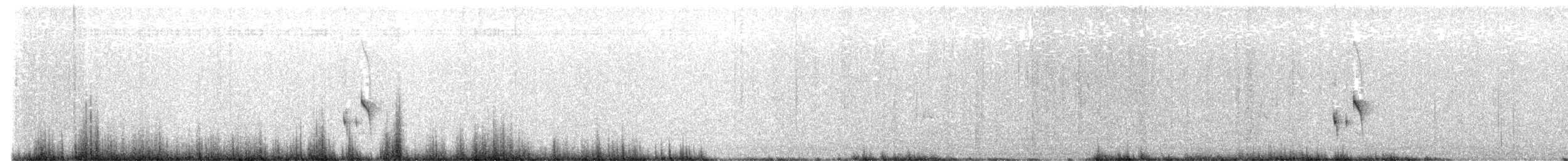 New Zealand Fernbird - ML647455842