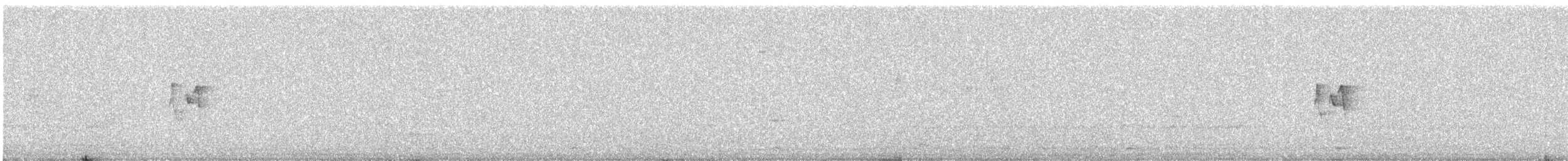 Hume's Warbler - ML647456471