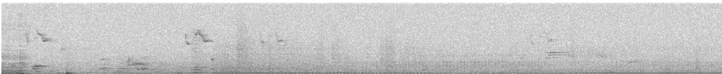 strdimil srílanský - ML647456527