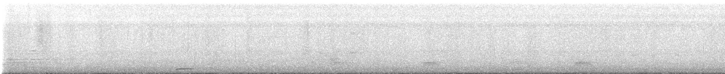 Collared Scops-Owl - ML647456535