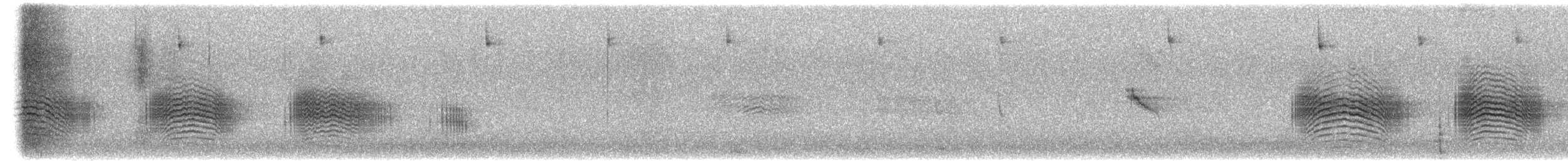 Arjantin Yaprak Kotingası - ML647456913