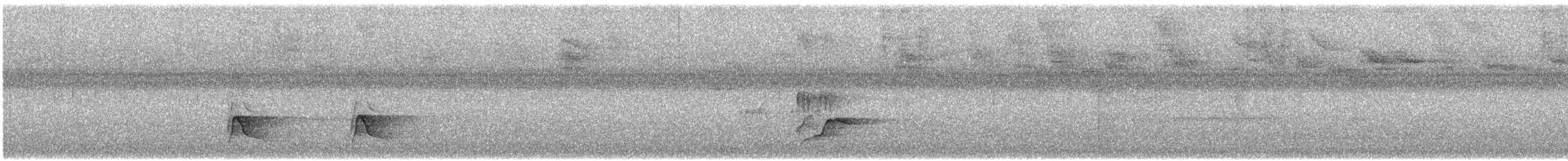 Yungas Manakini - ML647457528