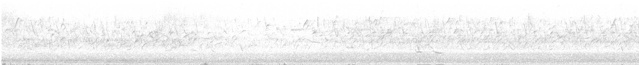 Cape Canary - ML647457668