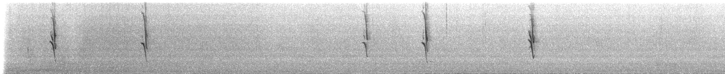 White-plumed Honeyeater - ML647459174