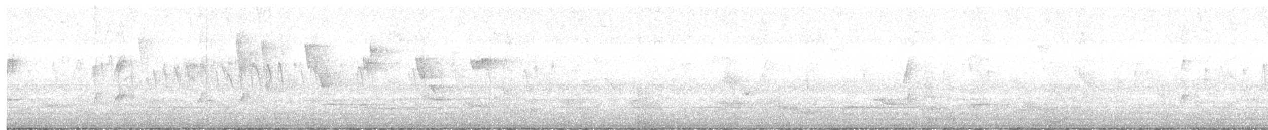 Brown-chested Martin - ML647459177