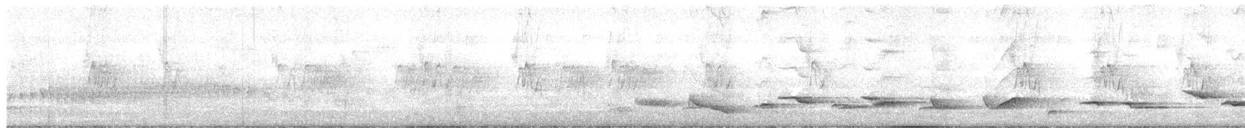 House Sparrow - ML647459307