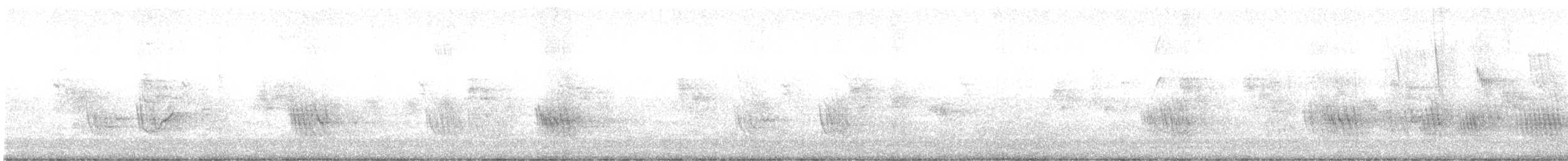 jiřička neotropická - ML647459980