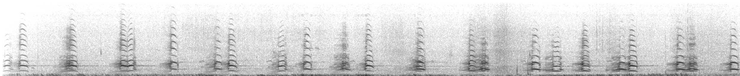 berneška malá - ML647460405