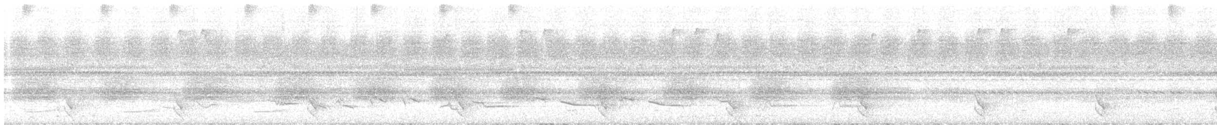 sokolec pralesní - ML647460624