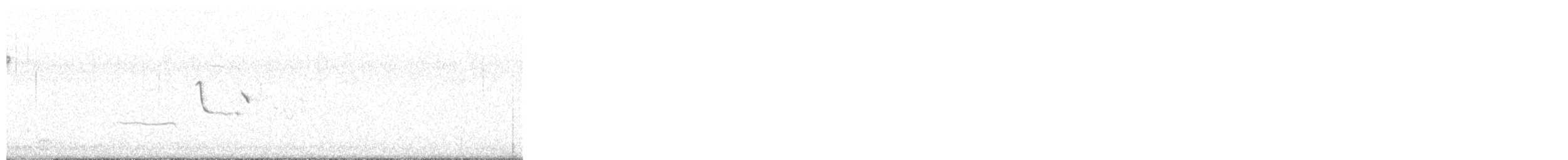 strnadec bělopásý - ML647460721