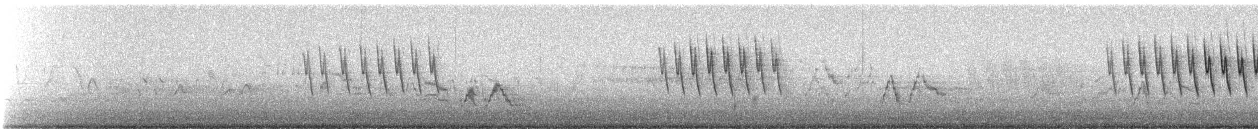 lesňáček čepičatý - ML647460751