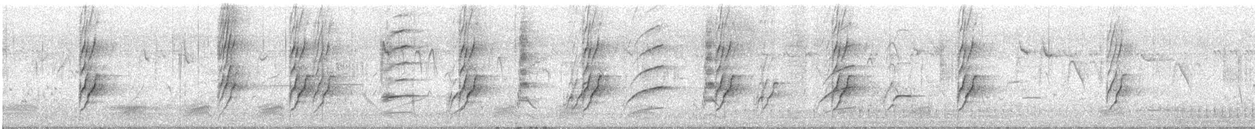 Plum-headed Parakeet - ML647461914