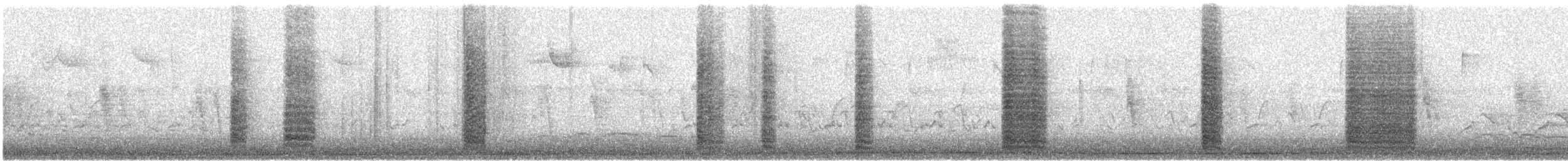 Brown Thrasher - ML647462706