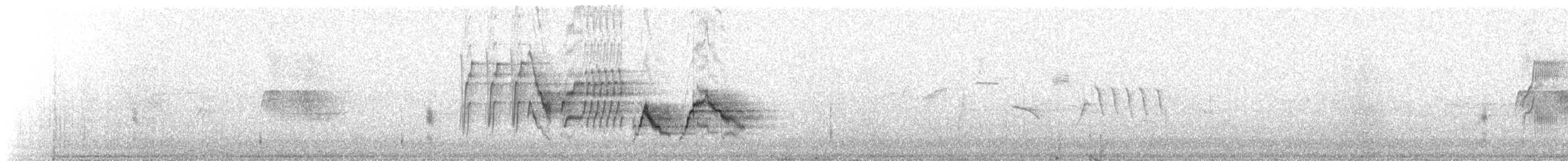 Grauwangen-Musendrossel - ML647463441