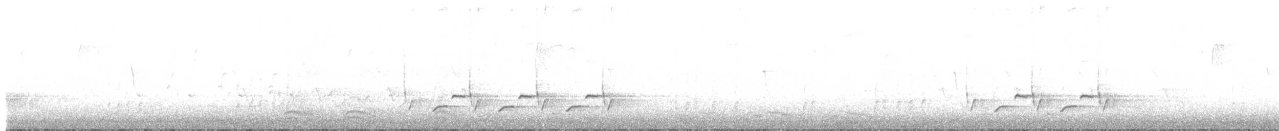 Carolina Wren - ML647464252